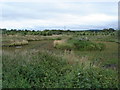  : Wildlife Pond Nether Huntlywood by Hamish Bain