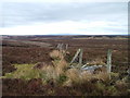 NY8815 : Boundary Fence on Great Dodd by David Brown