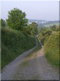  : Bridleway to Lifton by Derek Harper