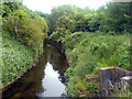 SK5462 : Inlet into river Maun by James Hill