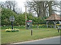 TG0711 : East Tuddenham Village green by steve chamberlin