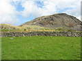 SH7143 : The boundary between improved pasture and frith by Eric Jones