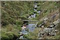  : Stoat Trap across Fossdale Gill. by Steve Partridge