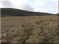 SN8870 : Hillside east of the Nant Torclawdd by Nigel Brown