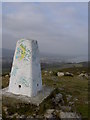  : Bray Head Triangulation Pillar by David Quinn