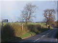  : Lane at turn for Aldham church with rainbow as wintry shower passes by Andrew Hill