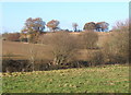  : Countryside west of Aldham by Andrew Hill