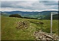  : Descent towards Traquair by Graham Horn