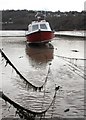 SN3960 : Mooring lines in New Quay Harbour by Bob Jones