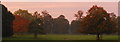 ST5016 : Autumn Sunset In Montacute Park by Roger