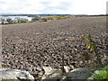 SH3277 : The public footpath to Llyn Traffwll goes across this field by Eric Jones