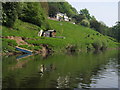 SO2447 : River Wye Cottage by Shaun Ferguson