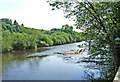 SO7876 : River Severn by P L Chadwick