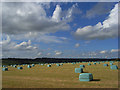  : Silage bales, Chaddleworth by Andrew Smith