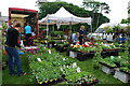 SH4938 : Ffair Cricieth - Criccieth Fair by Alan Fryer