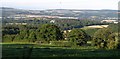 SX8273 : Field boundary and trees near Staplehill by Derek Harper