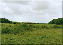  : Farmland at Tyllau Rhiw-clai. by Mick Lobb