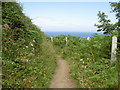  : The Bray-Greystones Cliff Path by David Quinn