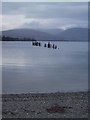 NS3882 : Loch Lomond from Balloch by Sarah Charlesworth