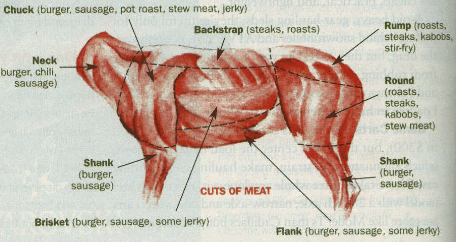 elk butcher diagram