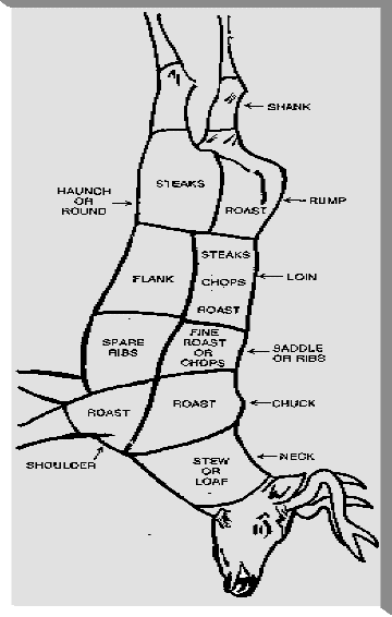 elk butcher diagram