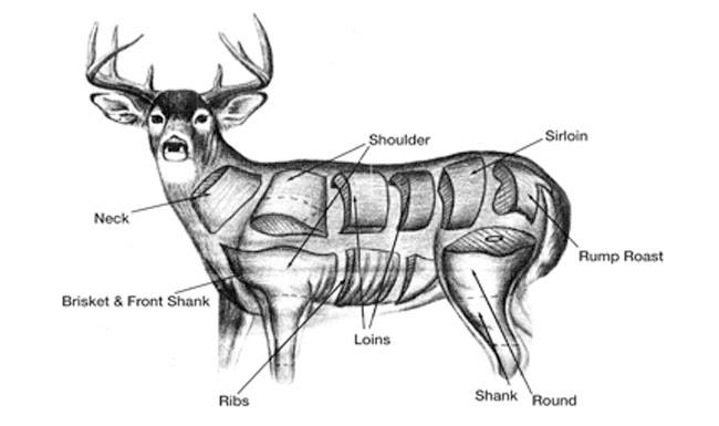 elk butcher diagram