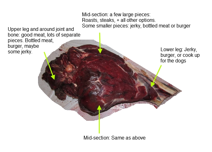 elk butcher diagram