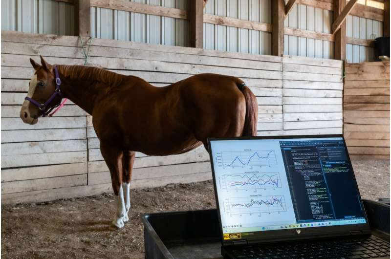 Researchers are developing the next generation of sensors to improve horse welfare