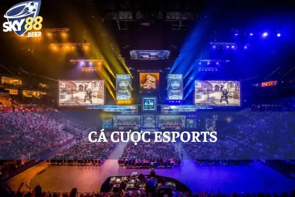 cá cược esport