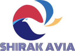 Airline logo