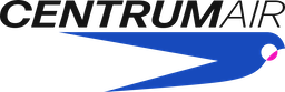 Airline logo