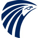 Airline logo