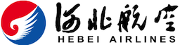 Airline logo