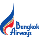 Airline logo