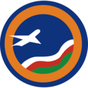 Airline logo