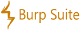 Burp Suite logo