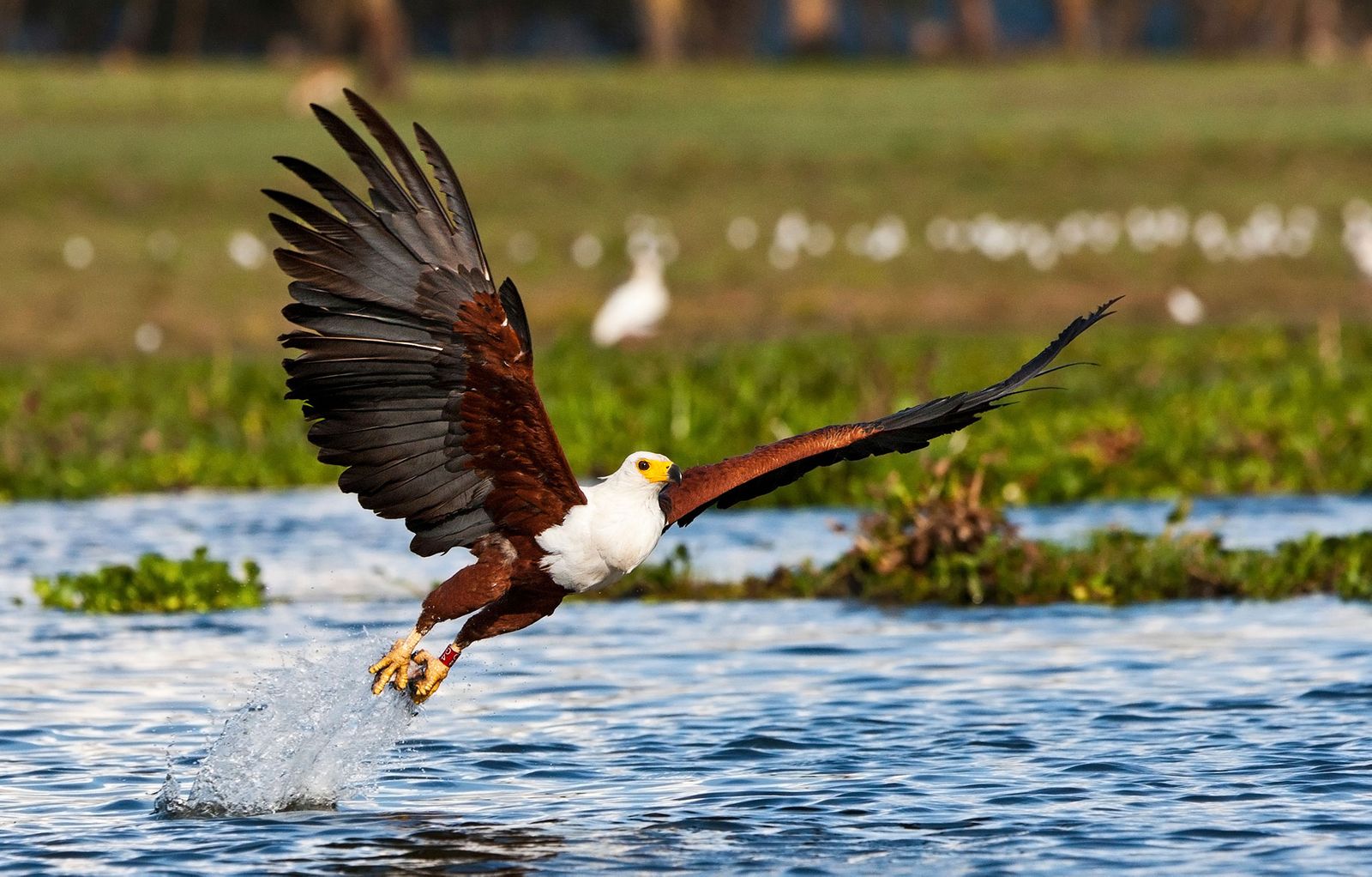 Kenya’s Baringo County hopeful of clinching UNESCO Global Geopark status