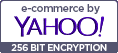 ecommerce provided by Yahoo Small Business