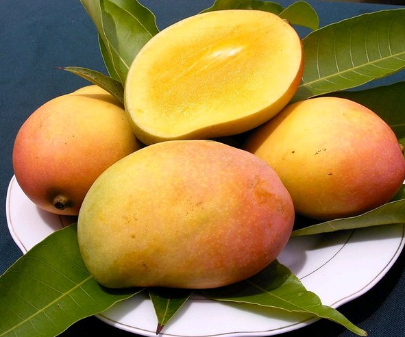 10 Jenis Buah Mangga Paling Enak yang Ada di Indonesa