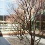 Courtyard at Bayview Library