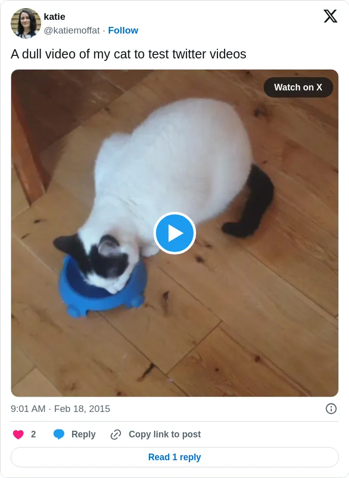 Screenshot from Twitter. 2015-02-18T09:01:37.000Z. katie (@katiemoffat). A dull video of my cat to test twitter videos http://t.co/cGazAn7H3E