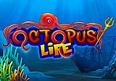 Octopus Life