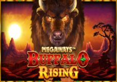 Buffalo Rising Megaways