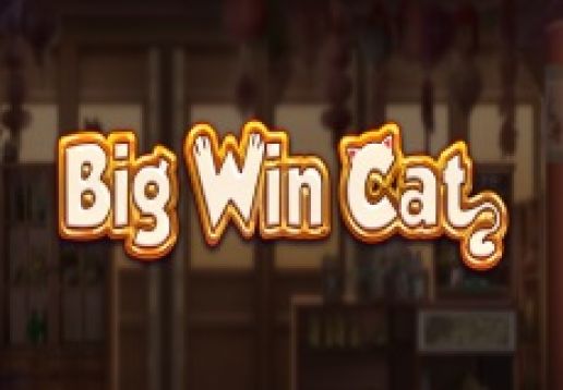 Big Win Cat logo