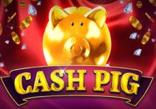 Cash Pig