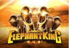 Elephant King