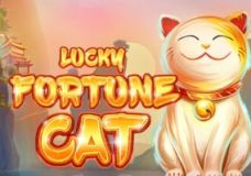 Lucky Fortune Cat