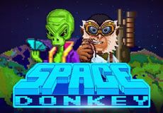 Space Donkey