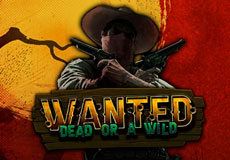 Wanted Dead or a Wild