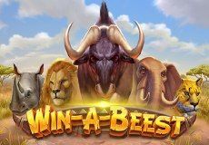 Win A Beest